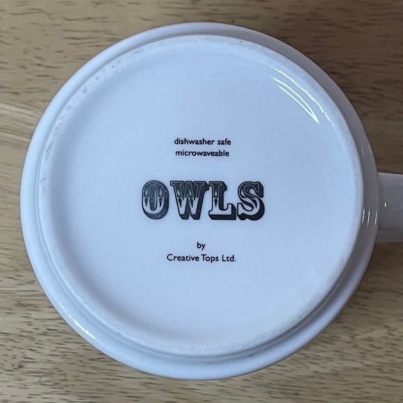 Owls by Creative Tops Ltd. Multicolor Owl Coffee Mug - Picture 7 of 7